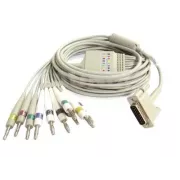 CABLE PACIENTE 10V 100/200 CARDIOLINE